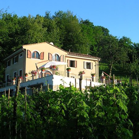 Galleria Ars Apua Bed & Breakfast Карара Екстериор снимка